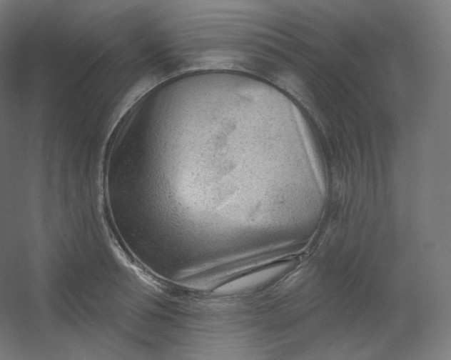 X0000054360994200508121509