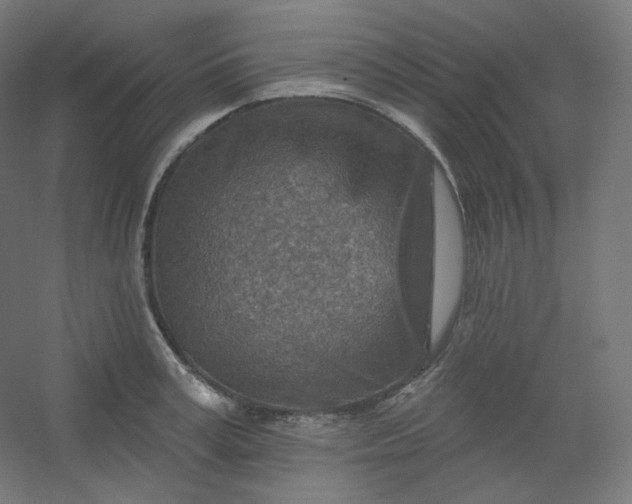 X0000054360995200508121509