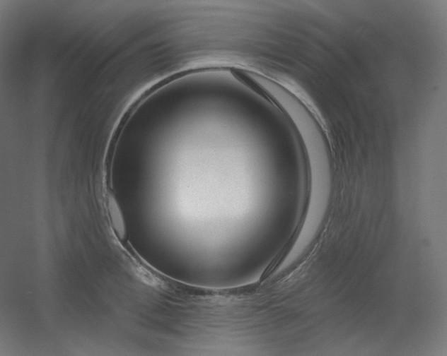 X0000054360996200508121509