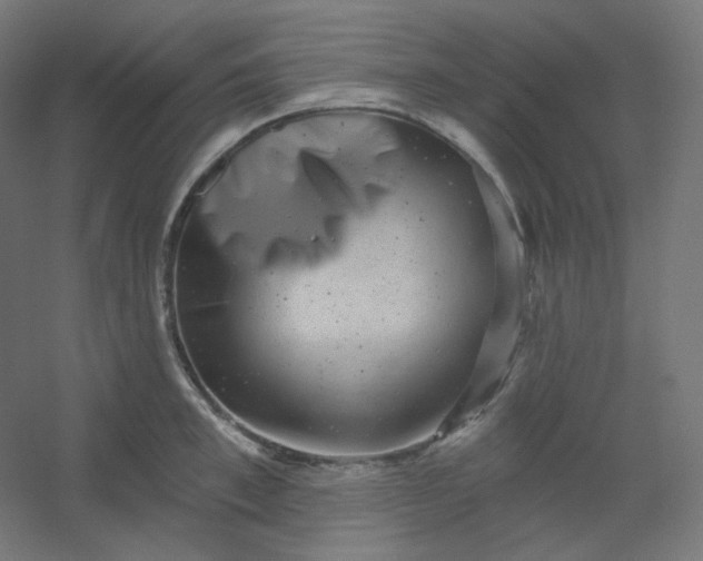 X0000054360997200508121509