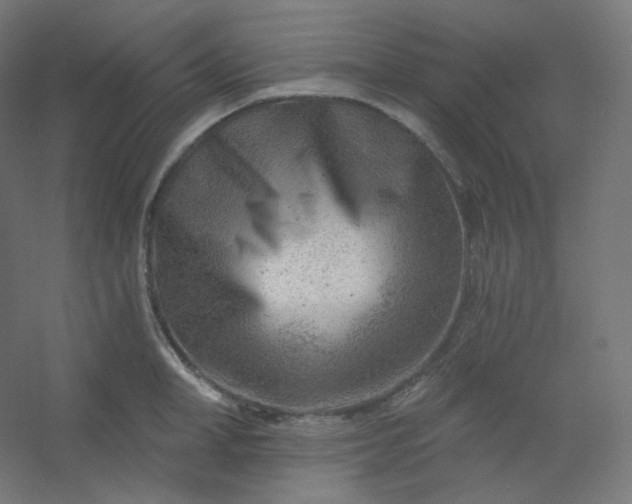 X0000054360998200508121509