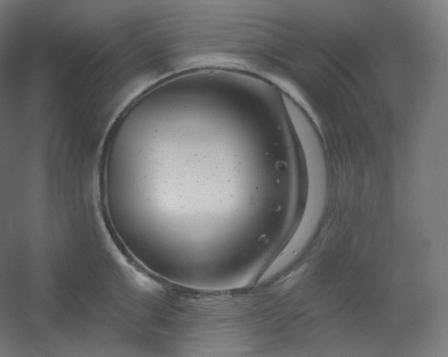 X0000054360999200508121509