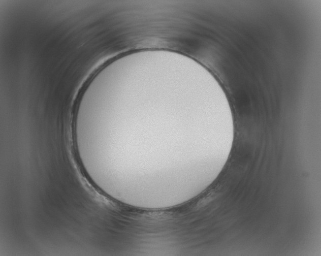 X0000054361000200508121509