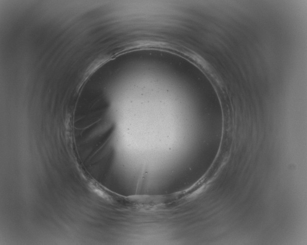 X0000054361001200508121509