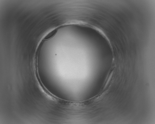 X0000054361003200508121509