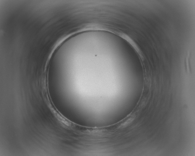 X0000054361004200508121509