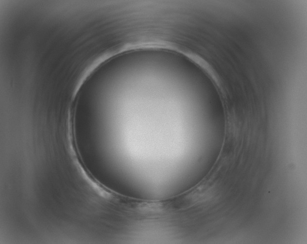 X0000054361006200508121509