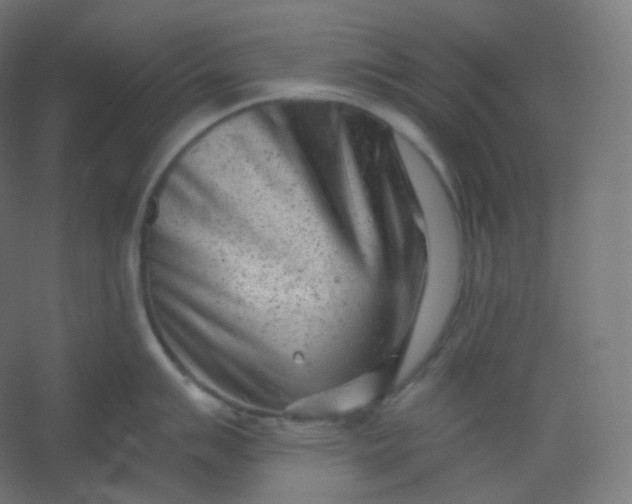 X0000054361007200508121509