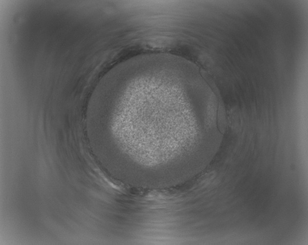 X0000054361009200508121508