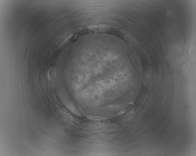 X0000054361010200508121508