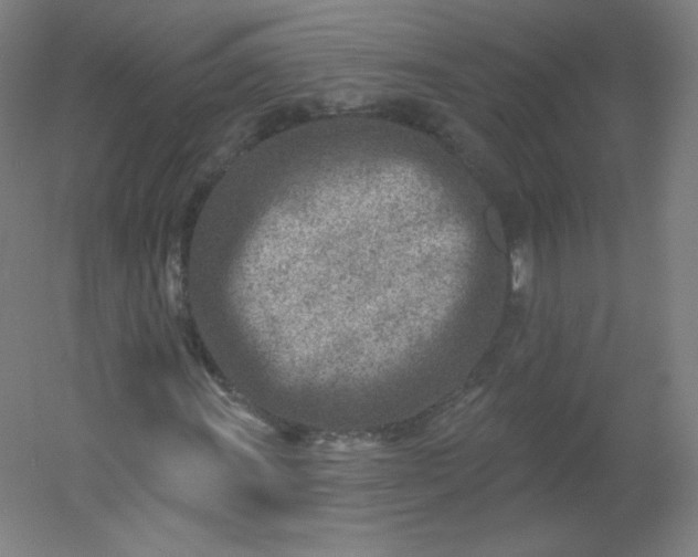 X0000054361011200508121508