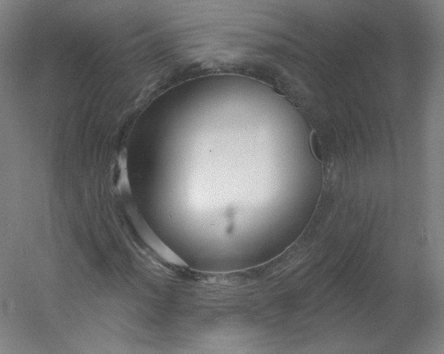 X0000054361012200508121508