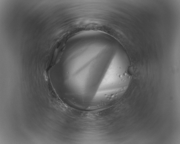 X0000054361013200508121508