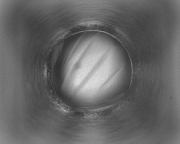 X0000054361014200508121508