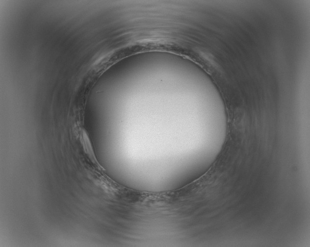 X0000054361015200508121508