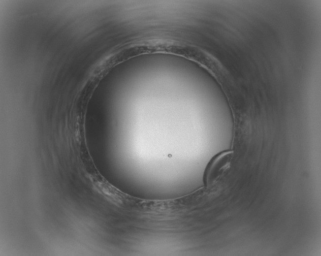 X0000054361016200508121508