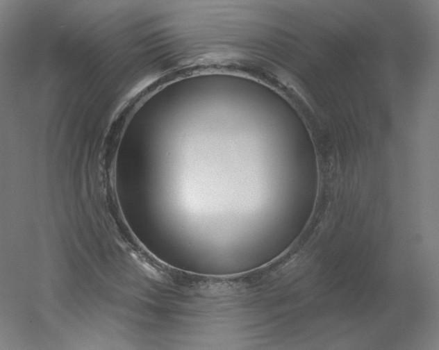 X0000054361018200508121508