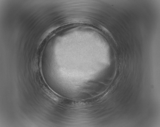 X0000054361019200508121508