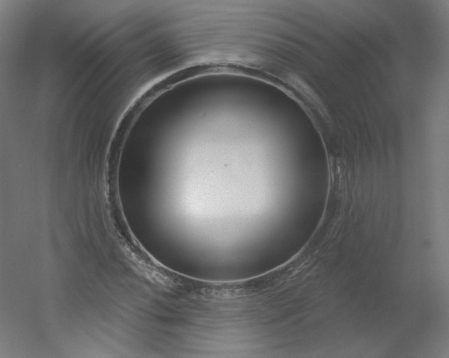 X0000054361020200508121508