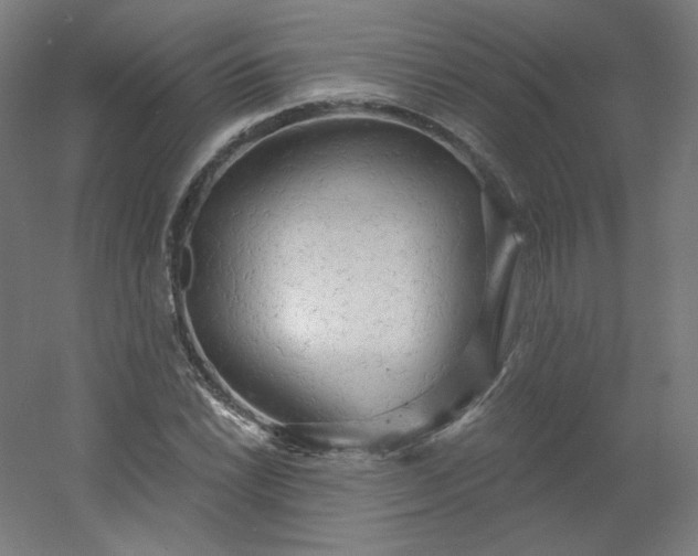 X0000054361022200508121508