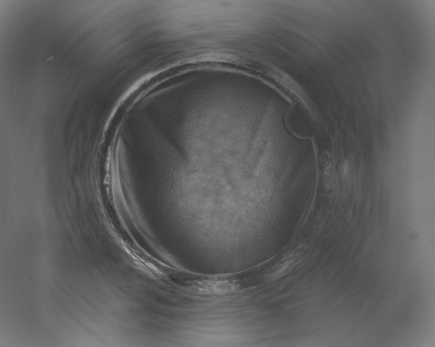 X0000054361024200508121508