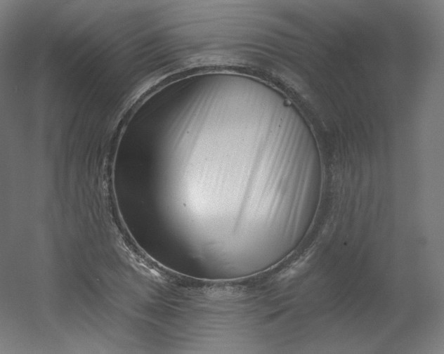 X0000054361025200508121508