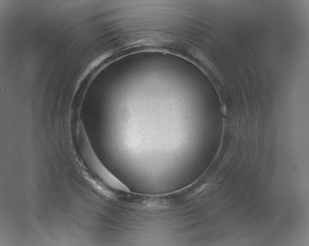 X0000054361026200508121508