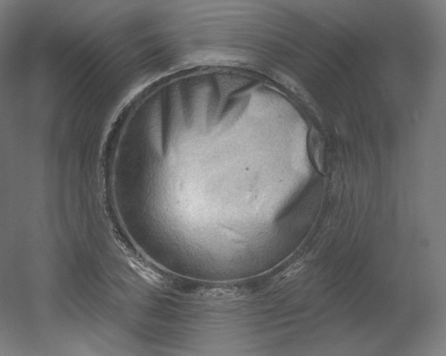X0000054361027200508121508
