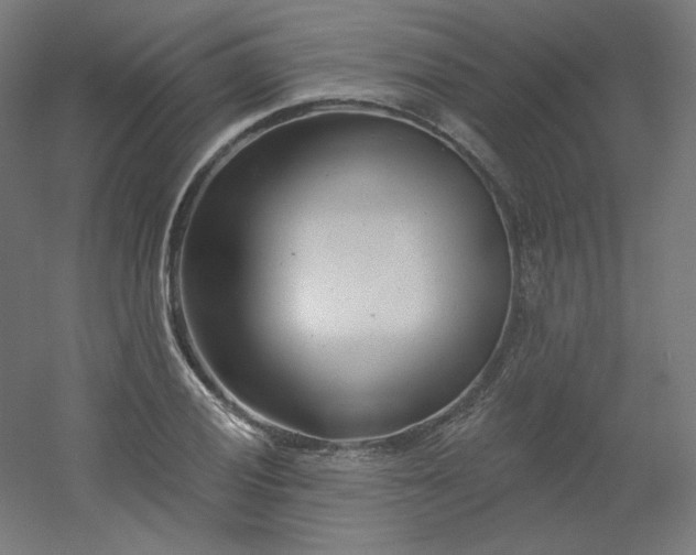 X0000054361028200508121508