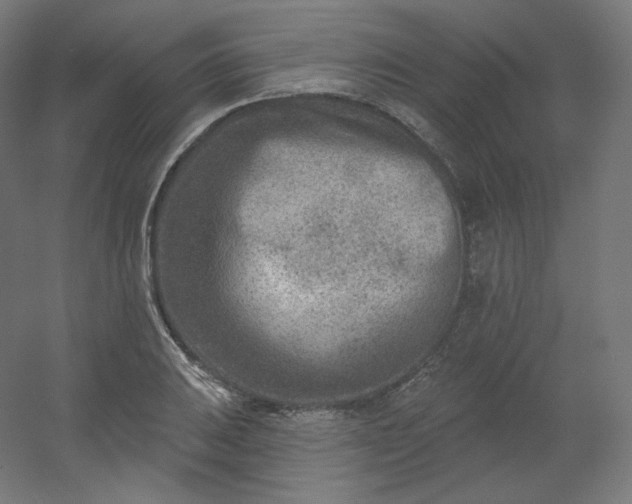 X0000054361031200508121508