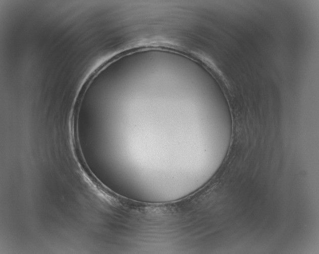X0000054361032200508121508