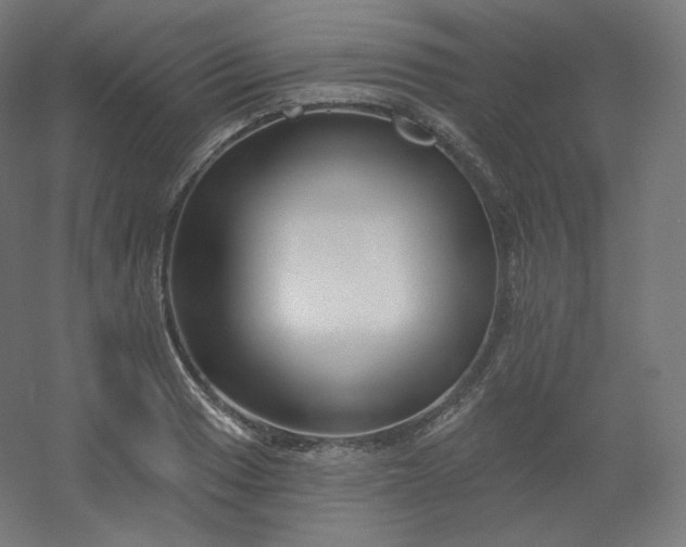 X0000054361033200508121508