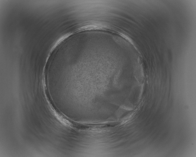 X0000054361034200508121509