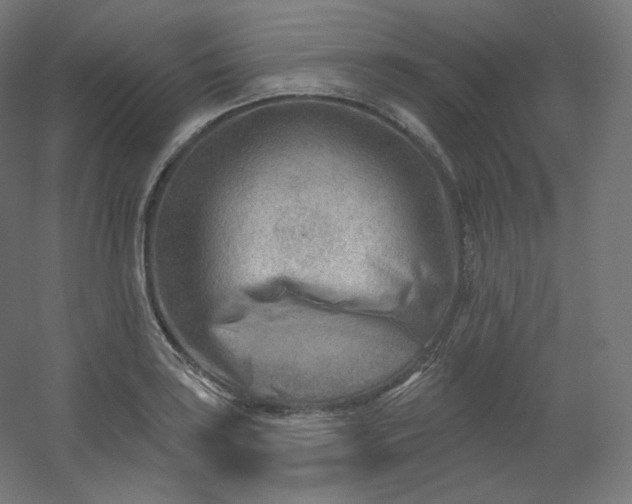 X0000054361035200508121509