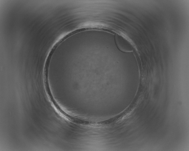 X0000054361037200508121509