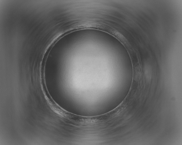 X0000054361039200508121509