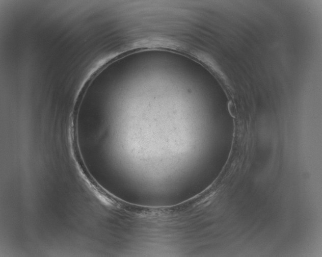 X0000054361040200508121509