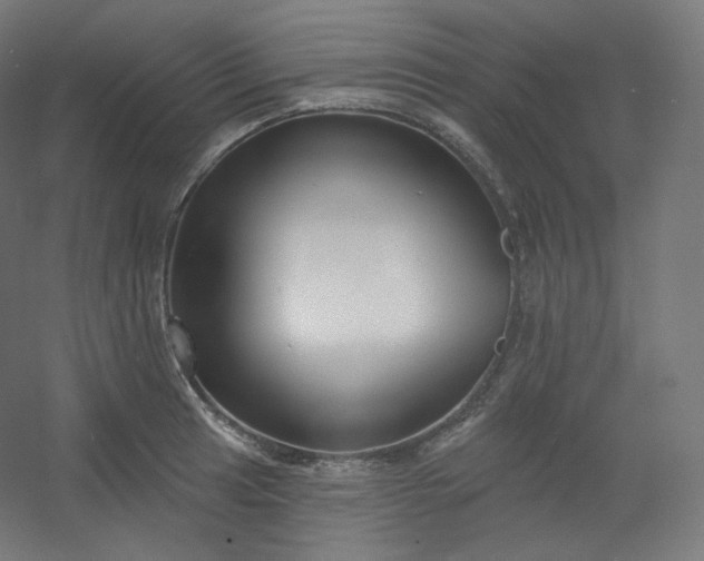 X0000054361041200508121509