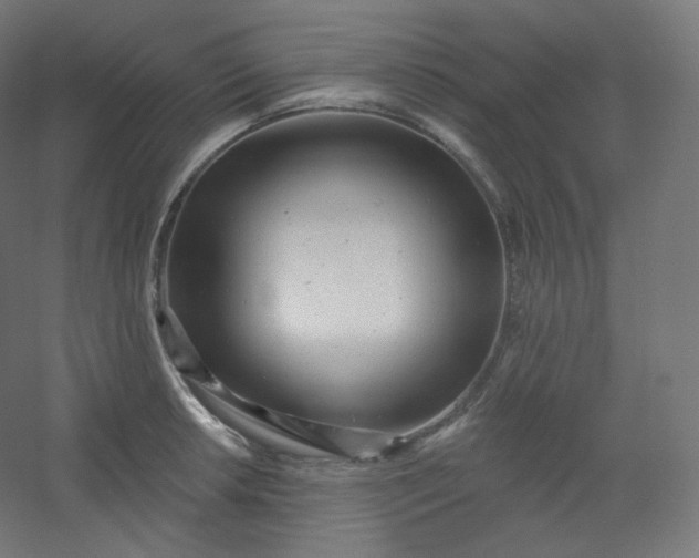 X0000054361042200508121509