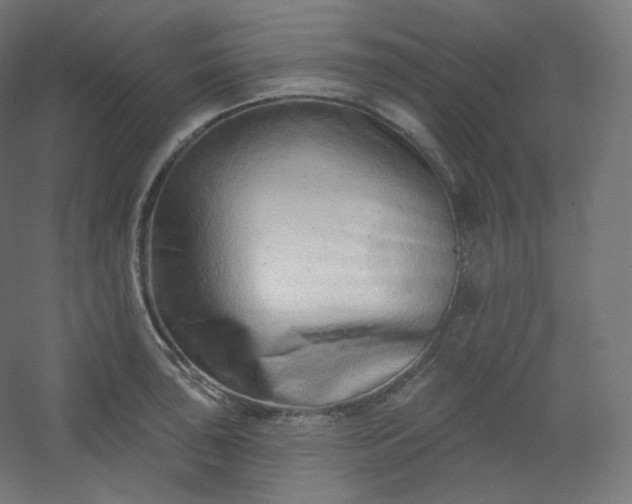 X0000054361043200508121509