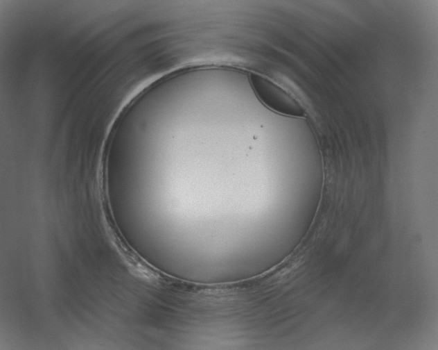 X0000054361044200508121509