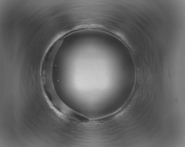 X0000054361046200508121509