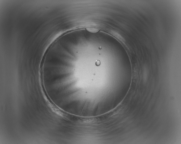 X0000054361047200508121509