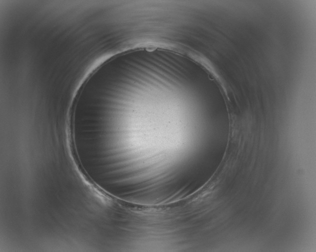 X0000054361048200508121509