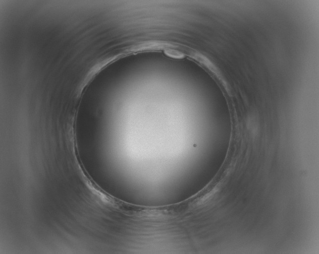 X0000054361049200508121509