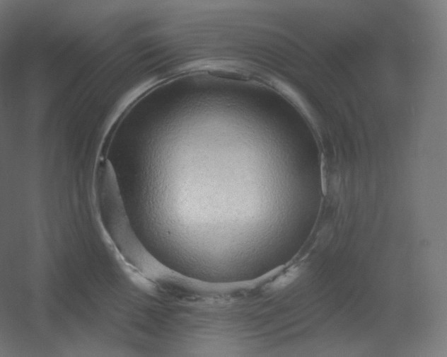 X0000054361050200508121509