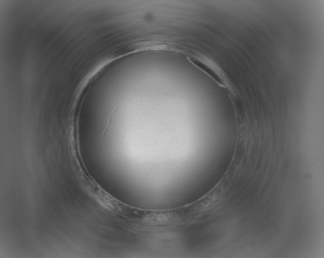 X0000054361051200508121509