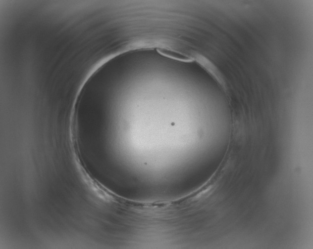 X0000054361052200508121509
