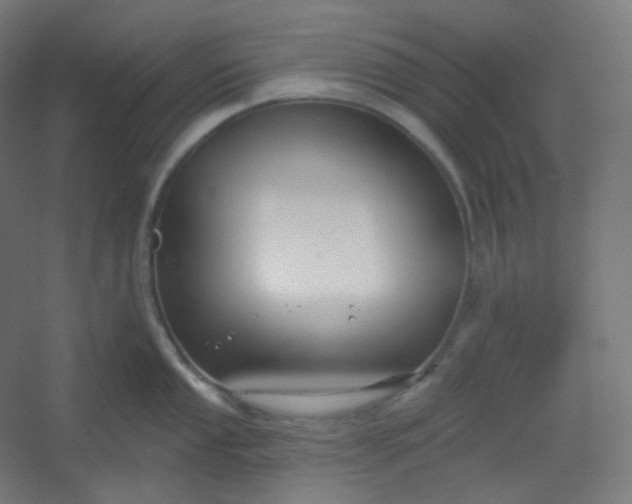 X0000054361053200508121509
