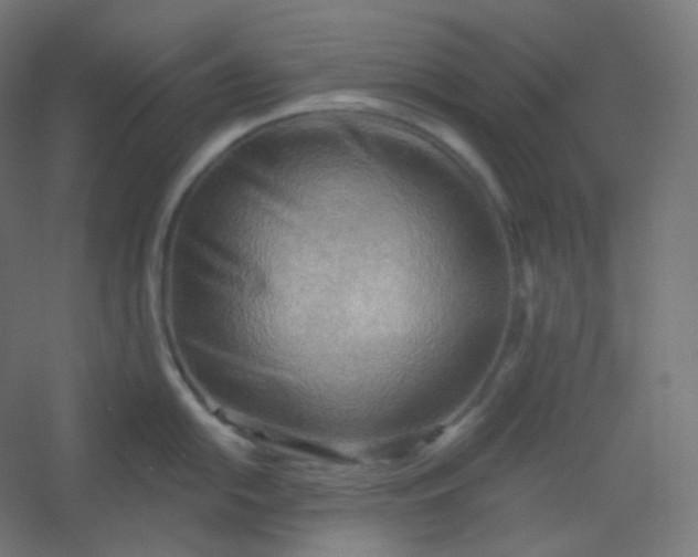 X0000054361054200508121509